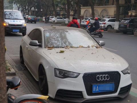 120万奥迪丢弃街头，车上比地上脏，还是乌鲁木齐的车