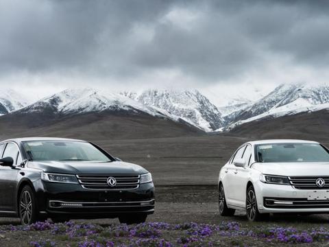 德系外观法系底盘宝马引擎，长5米轴距2米9，它15万起月销两位数