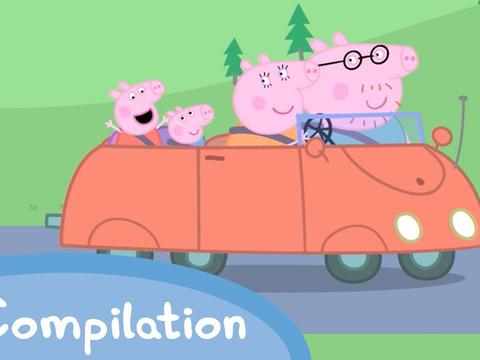 社会人都开什么车？