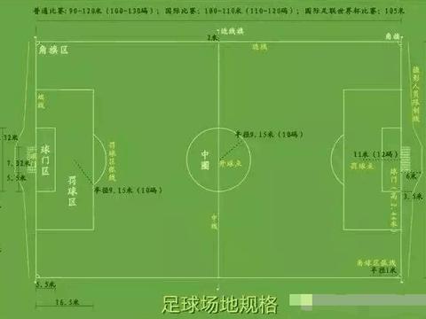 动物天堂亚马逊：鸟类正快速消失，科学家警告：下一个...