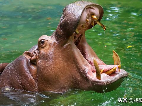 物品泡水应急处理 泡水后如何正确应对