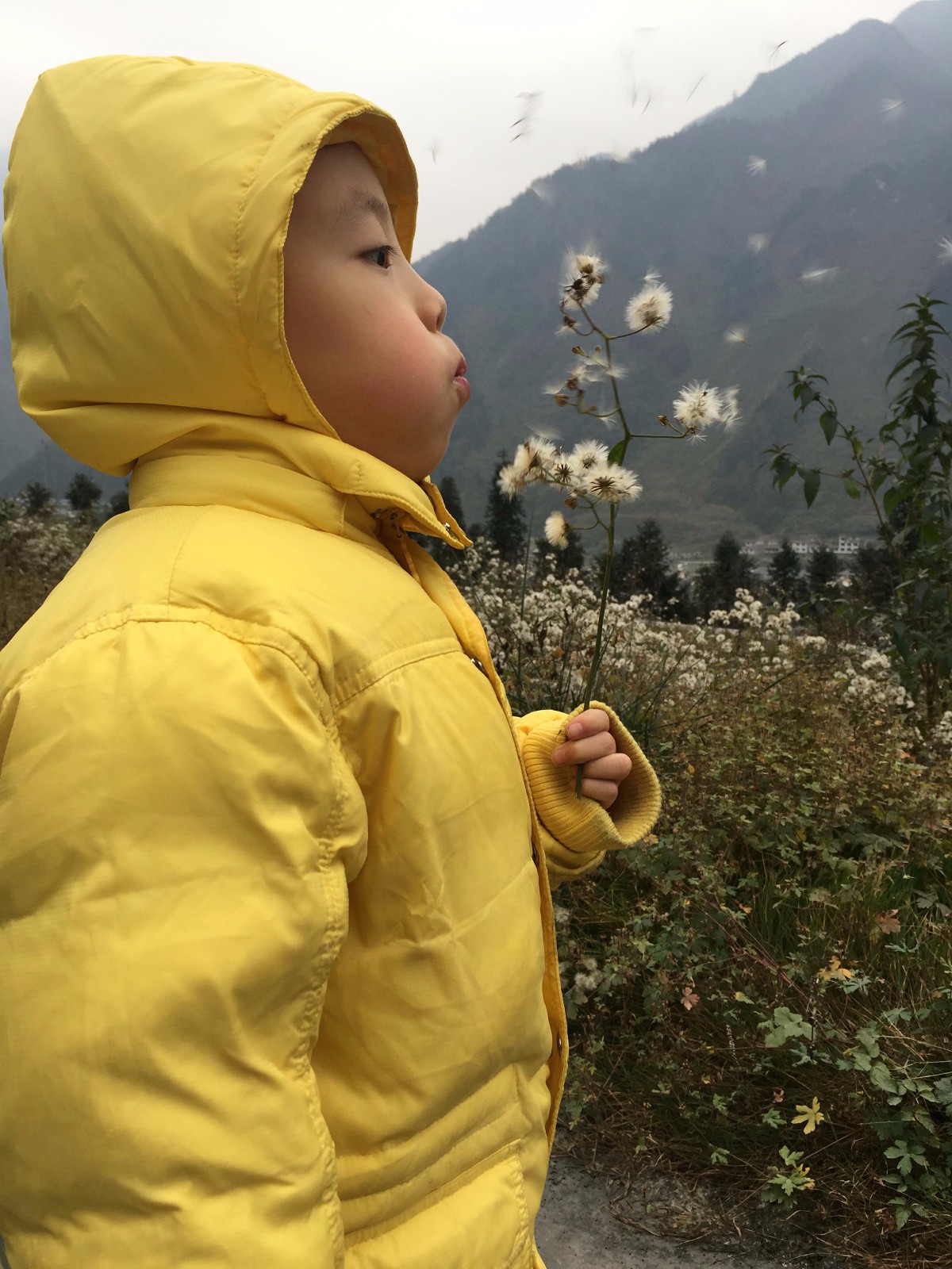 十年·记·忆 | 妙红说