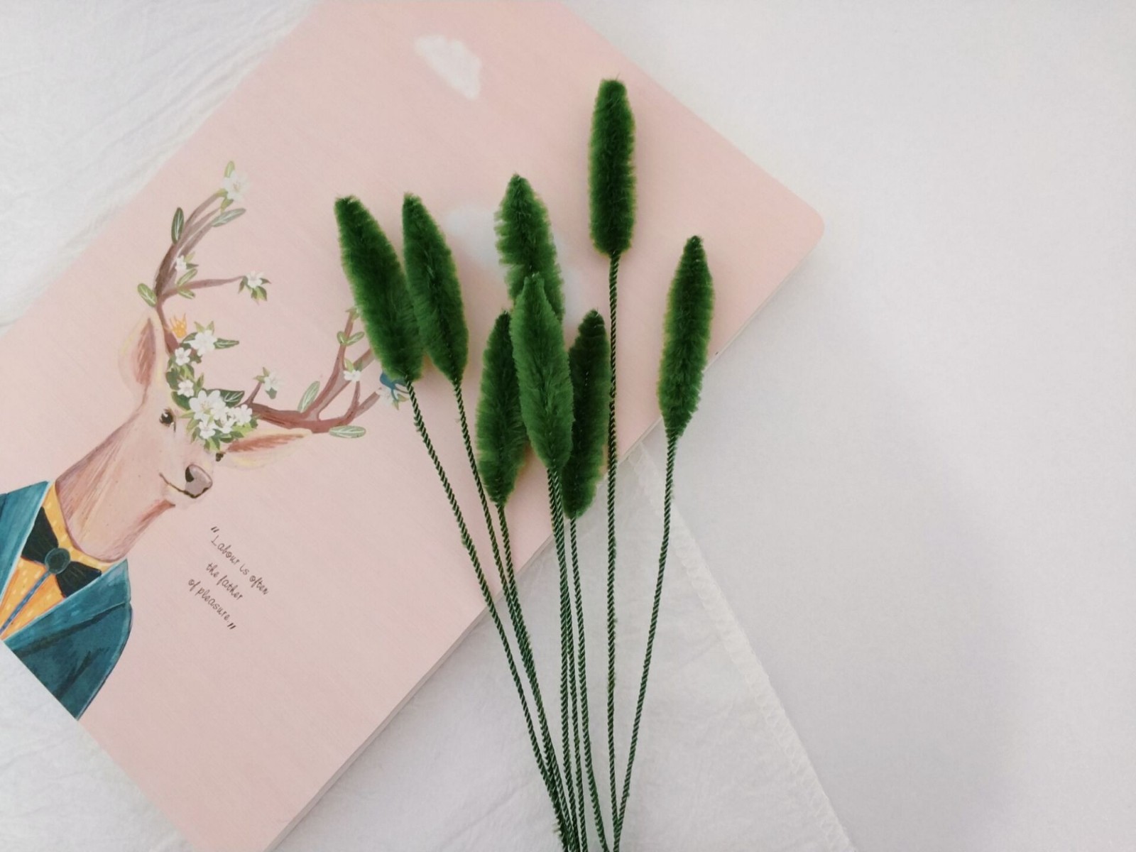 就能做的狗尾巴草花束,放在家里做装饰特别文艺小清新