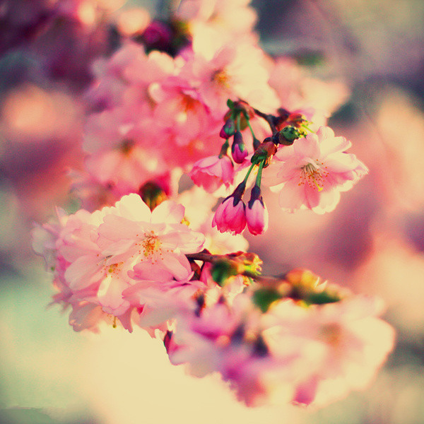 你们觉得两个人最好的相处模式是什么?