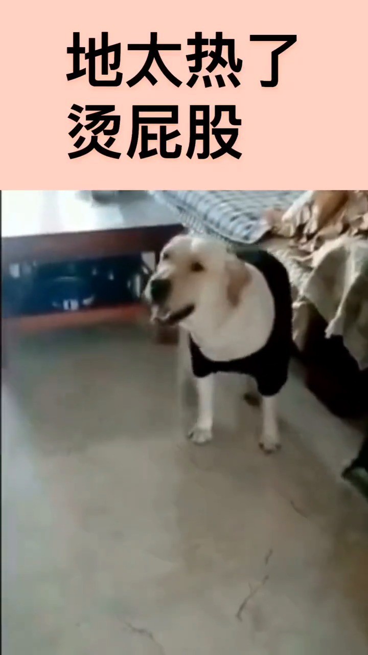我也控制不了我自己啊!