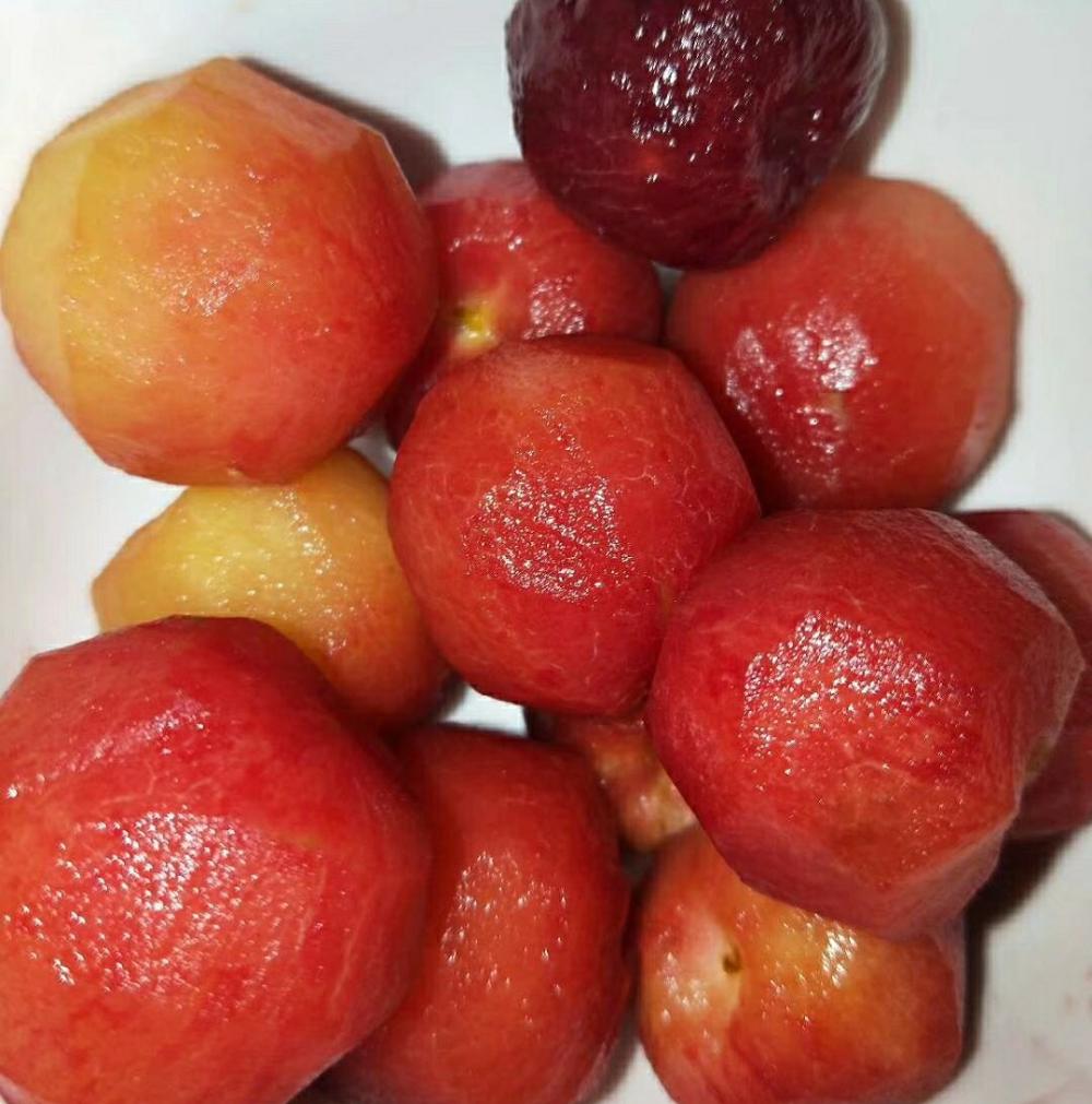 小时候吃过水果罐头的举手,据说只有80后才知