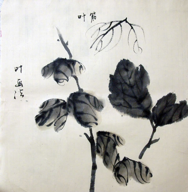 简单几笔 学会 菊花叶的画法  