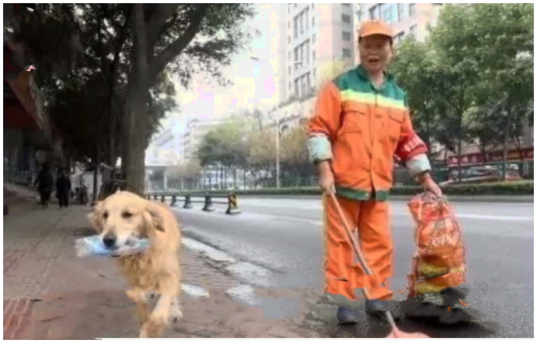 狗狗每天捡矿泉水瓶,是爱吗,是责任吗?是!