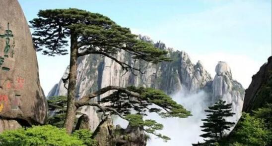 除了三山五岳, 中国还有四大名山, 你知道几个?