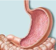 揭秘:有胃病的人到底能不能喝牛奶!