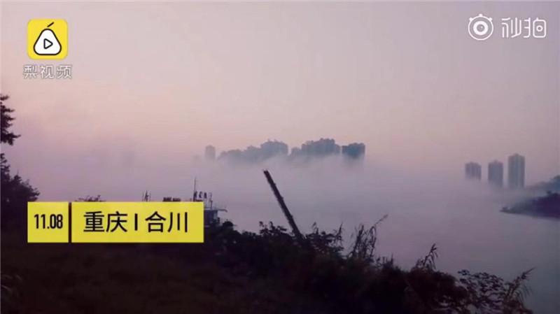 雾天行车注意事项,新老司机都应该注意