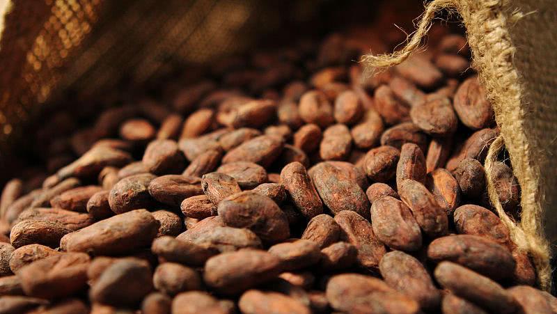 可可与代可可脂的区别,营养与危害,怎样才算真