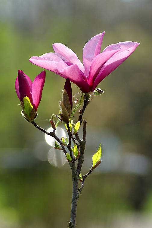 纸短情长的人生感悟经典句子,句句穿心(深度好
