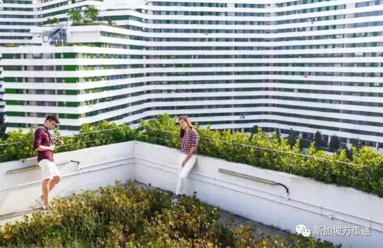 新加坡这些新组屋简直比公寓还高大上~