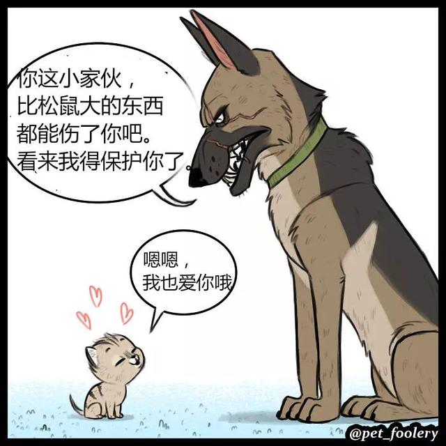 当彪悍警犬遇上一只软萌小喵后网友们被这漫画一下暖到了