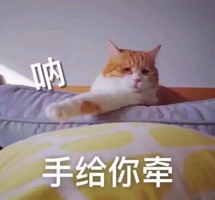 一组宠溺表情包( ` )