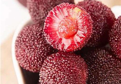 杨梅可以放冰箱吗