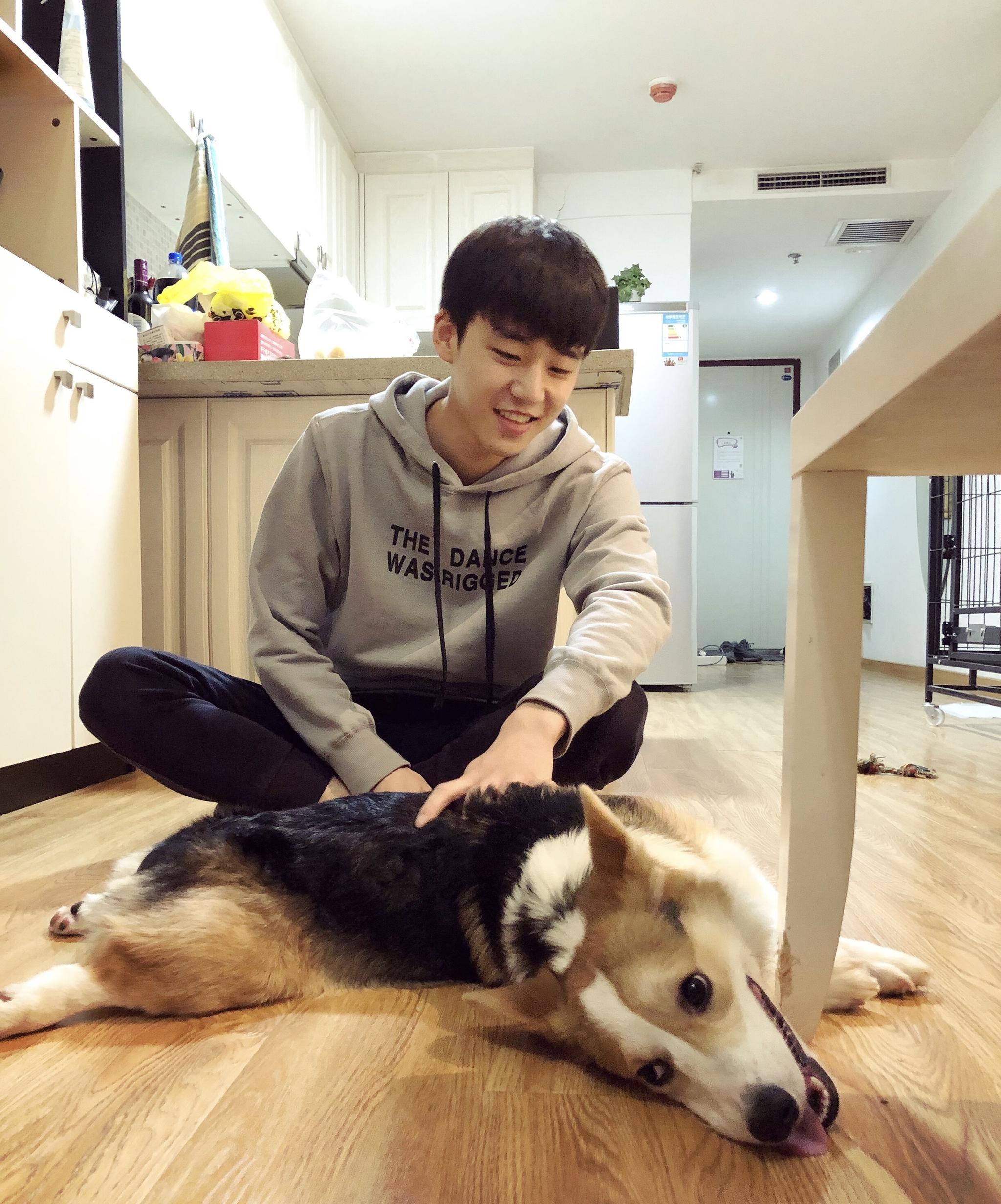 你的笑像一条恶犬 撞乱了我心弦