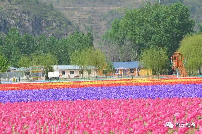 密云人间花海景区携百万风车,送你一个恋恋难忘的五一