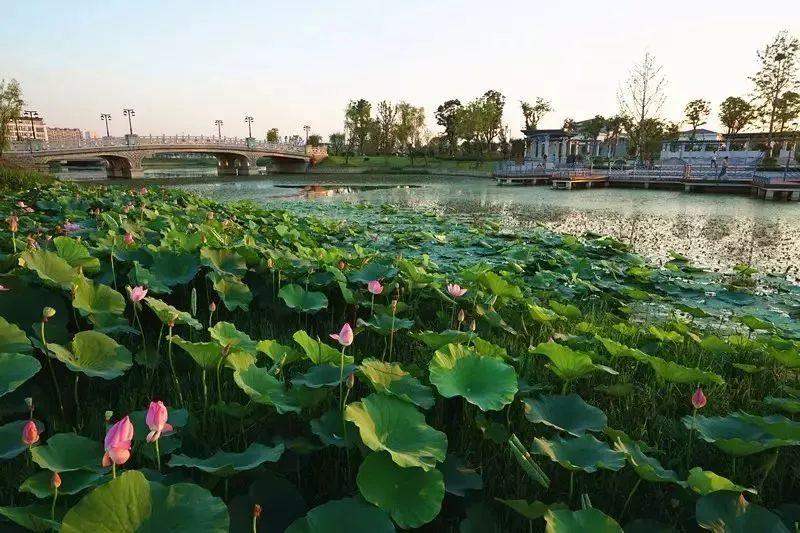 无锡西漳公园私藏的夏天,无锡市民避暑又有了新选择