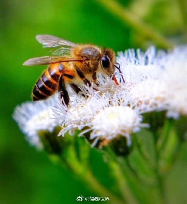 2018 年富士极致影像大赛四月优秀作品集锦(一