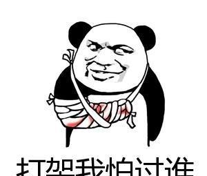 斗图表情包,说实话,这个点,猪都已经起床吃饭了