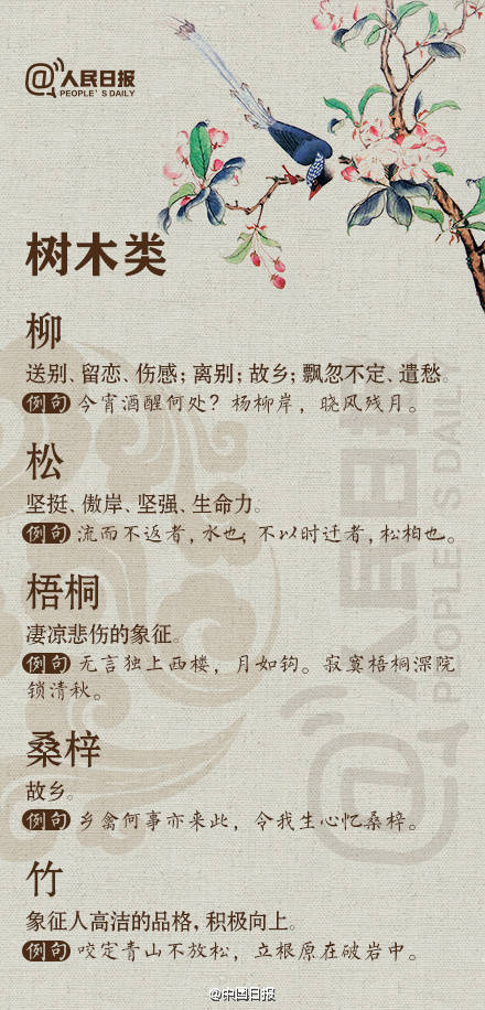 玲珑的简谱_白夜玲珑图片(3)