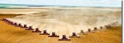 美国大豆失去中国市场,为何它的出口不减反增