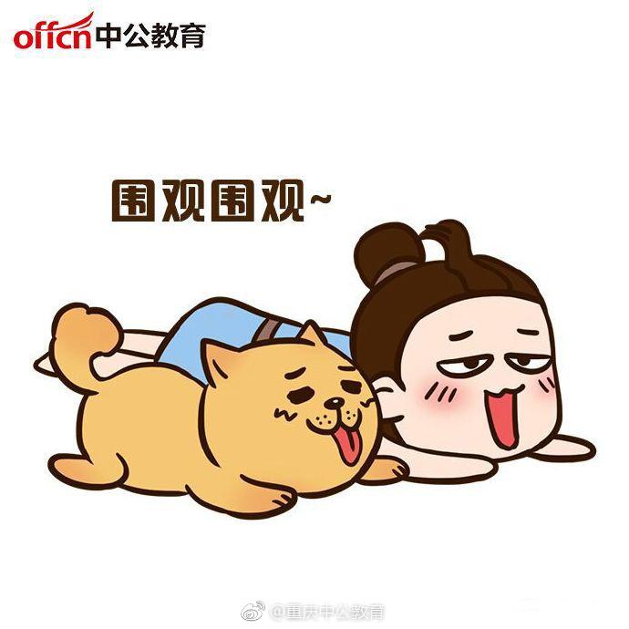 特岗和事业单位教师招聘那个更好考, 待遇更好