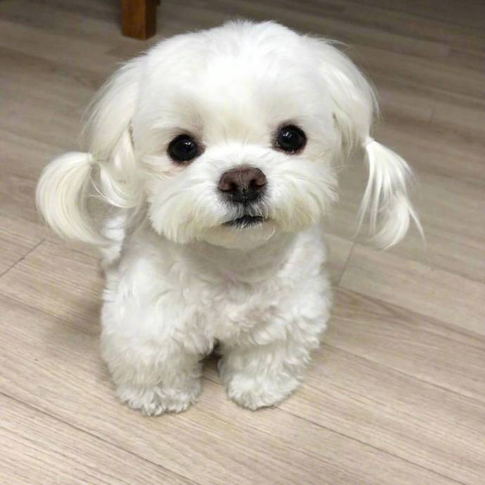 中世纪历史冷知识 足球起源与生活文化