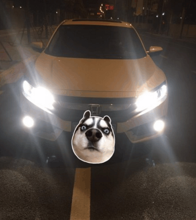 新思域用车心得, 车主: 车漆有点薄, 稍微蹭一下就能见底漆