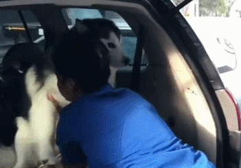 怎么你这表情不对啊