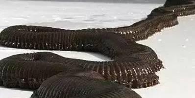 世界最真实的神秘事件未解之谜