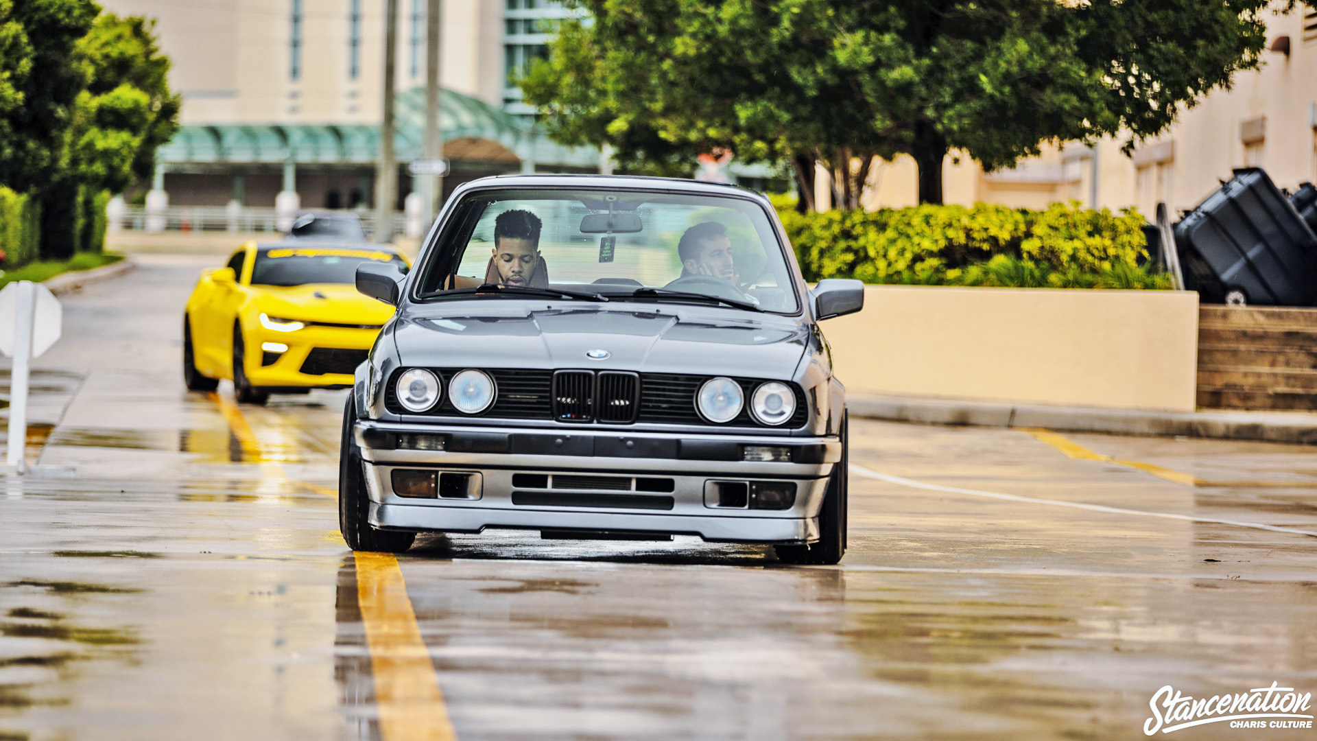 老宝马眼神可真好看!