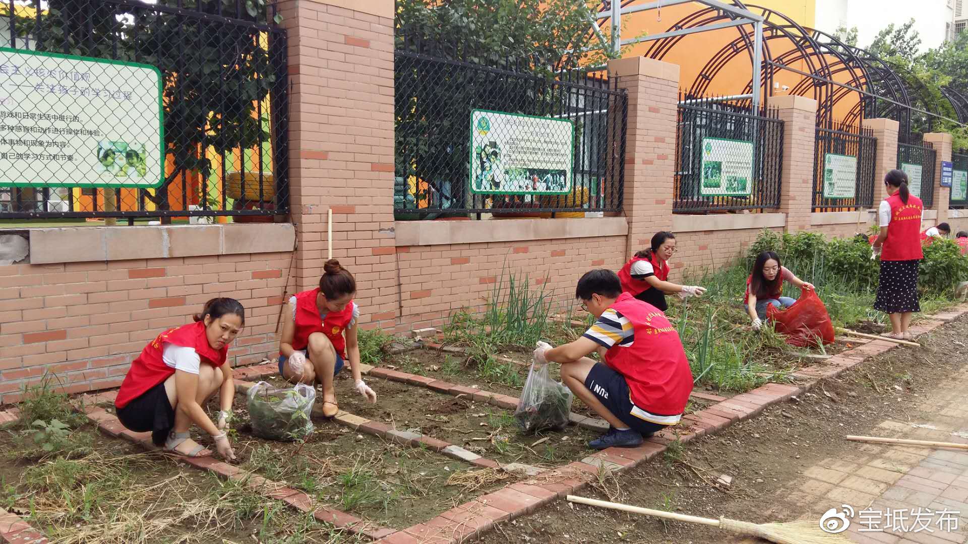 宝坻原筑幼儿园创城创卫,我奉献我参与主题实践活动