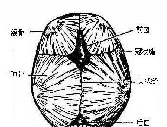 医患之间:可怜天下父母心|颅缝|骨折|可怜天下父母心_新浪新闻
