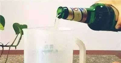 小白鞋发黄发旧很难看? 教你一简单小妙招, 洗