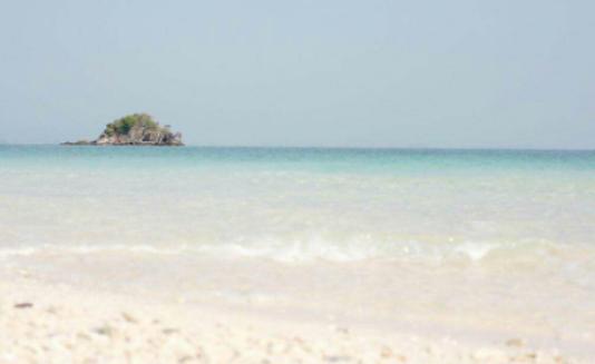 面试官:有100瓶水,其中一瓶有毒,你怎么做?网友