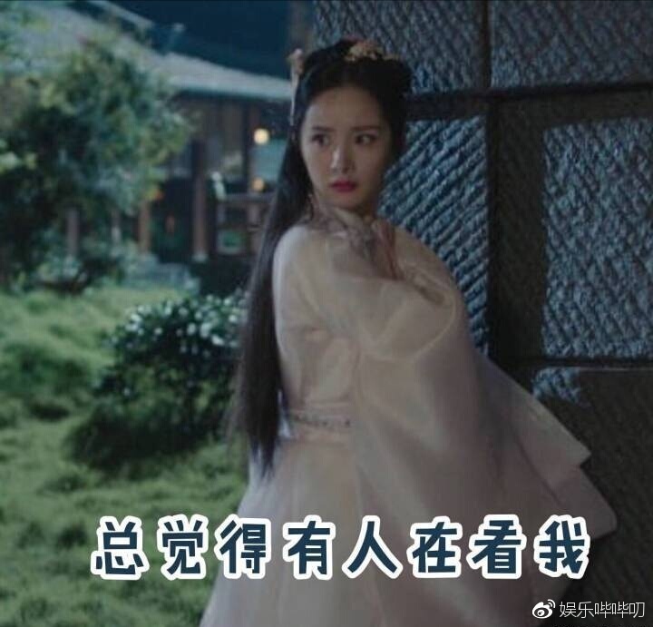 扶摇成2018海外最火爆国产剧,连巴铁人民都在