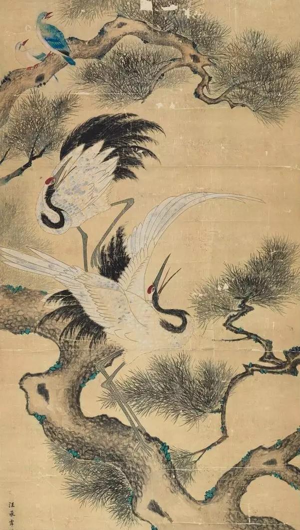 清代汪承霈花鸟画作品欣赏,养眼,养心!