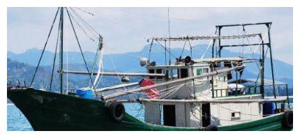 海军军演时炸死的鱼怎么办?是吃掉还是丢掉?