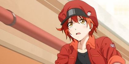 《工作细胞》居然是一部已教育为主的动漫?