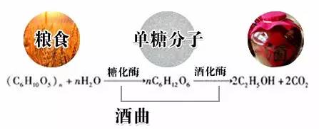 喝了这么多年酒，你知道酒曲到底是指什么吗?
