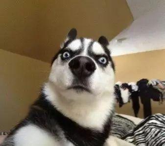 教育部:2020年前取消各类特长生招生 内附成都