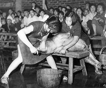 50年代老照片:两美女杀猪,最后一张车站似泰姬陵,猜猜