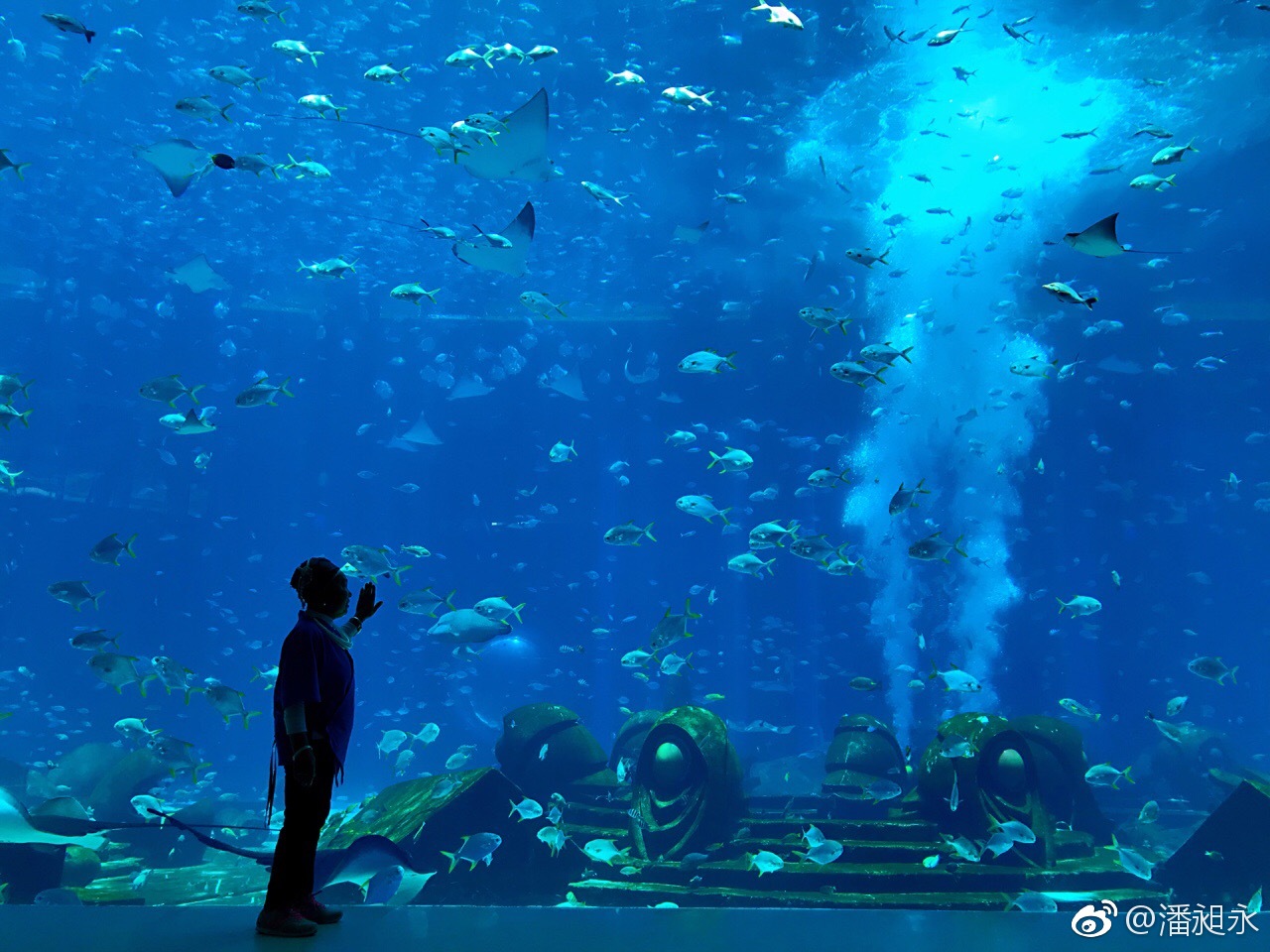 三亚亚特兰蒂斯水族馆失落的空间这里实在是太漂亮