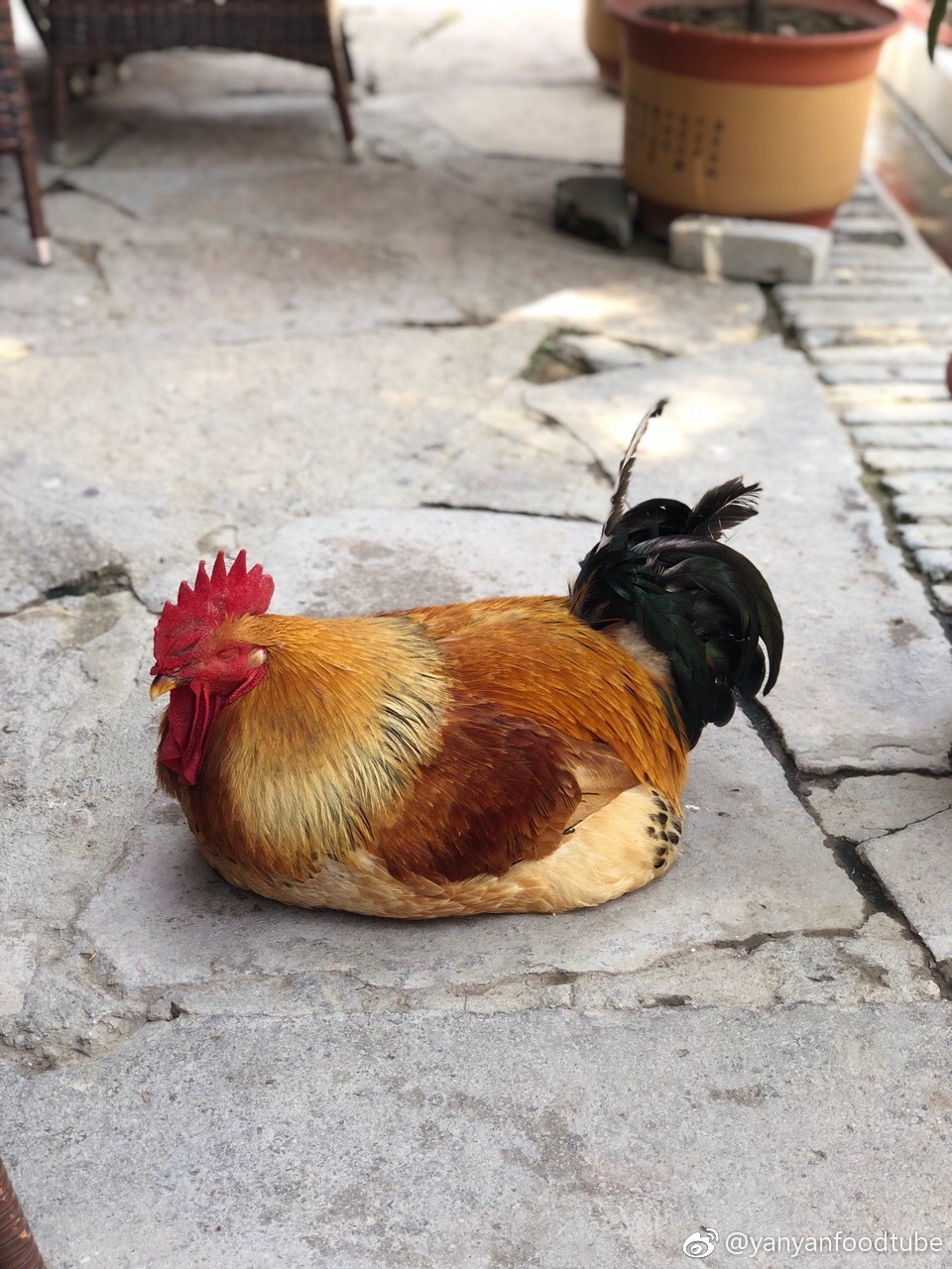 袁家村离西安市区有70多公里,驾车一小时就到