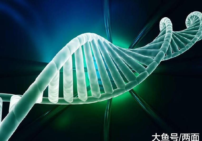 高云翔案DNA检测结果四审将呈堂, 但这并不能