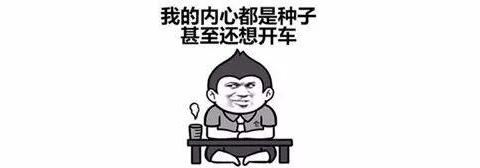 优惠大 质量可靠！6-10万买合资家用车就选这些