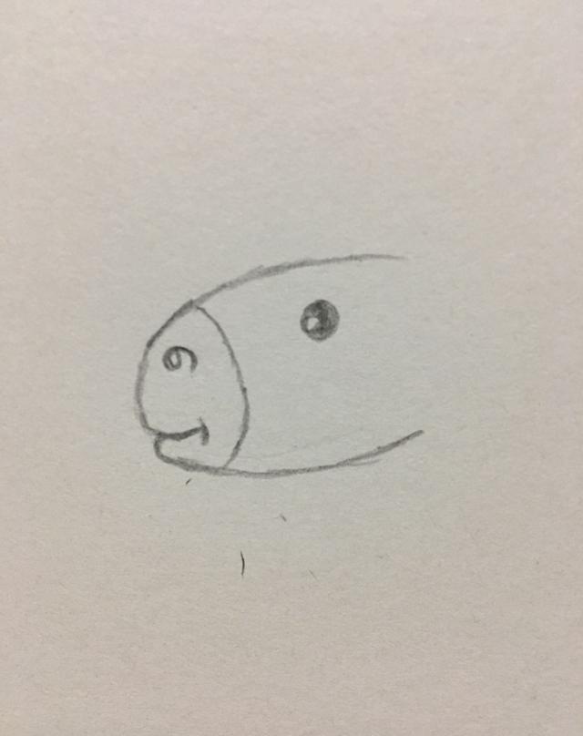 简笔画——小马驹的画法
